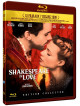 Shakespeare In Love [Edizione: Francia]