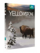 Yellowstone  La Lutte Pour La Vie [Edizione: Francia]