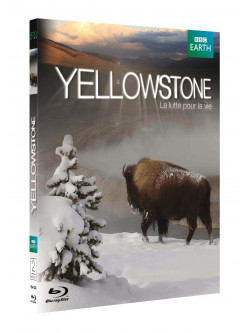 Yellowstone  La Lutte Pour La Vie [Edizione: Francia]