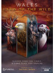 Wales: Land Of The Wild [Edizione: Regno Unito]