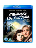 A Matter Of Life & Death [Edizione: Regno Unito]