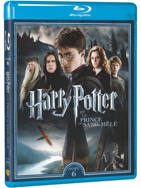 Harry Potter Et Le Prince Du Sang Mele [Edizione: Francia]