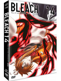Bleach - Arc 14 Part 1: Fall Of The Arrancar (Eps. 266-291) (4 Dvd) (First Press)