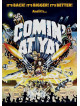 Comin' At Ya [Edizione: Stati Uniti]
