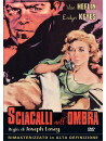 Sciacalli Nell'Ombra