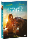 Mio Amico Tempesta (Il)