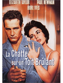 La Chatte Sur Un Toit Brulant [Edizione: Francia]