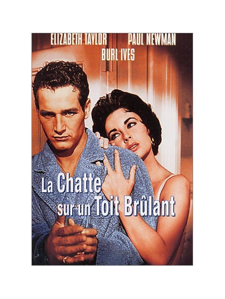 La Chatte Sur Un Toit Brulant [Edizione: Francia]
