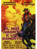 Mio Amante E'Un Bandito (Il)