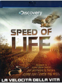 Speed Of Life - La Velocita' Della Vita