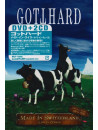 Gotthard - Made In Switzerland-Live In Zurich (2 Dvd) [Edizione: Giappone]