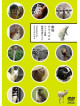 Various - Dobutsu Chirarizumu -Cameramesen  Dobutsushashin Dvd- [Edizione: Giappone]