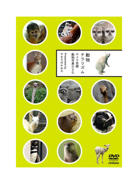 Various - Dobutsu Chirarizumu -Cameramesen  Dobutsushashin Dvd- [Edizione: Giappone]