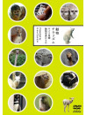Various - Dobutsu Chirarizumu -Cameramesen  Dobutsushashin Dvd- [Edizione: Giappone]