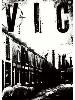 Merry - Vic -Video Aidi Collection- [Edizione: Giappone]