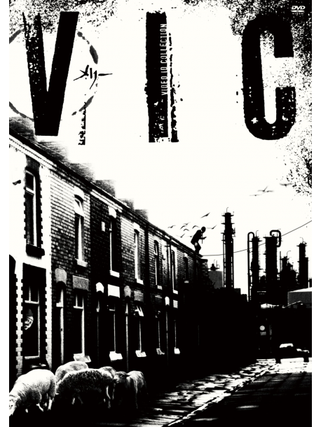 Merry - Vic -Video Aidi Collection- [Edizione: Giappone]