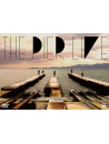 Quruli - Pier Live (2 Dvd) [Edizione: Giappone]