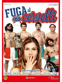 Fuga Di Cervelli
