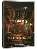 Tapirulan