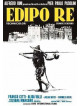 Edipo Re