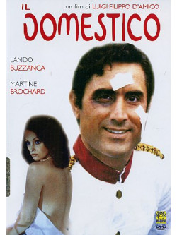 Domestico (Il)