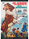 Laddy Alla Riscossa