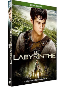 Le Labyrinthe [Edizione: Francia]