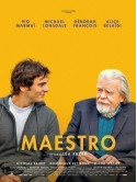Maestro [Edizione: Francia]