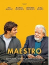 Maestro [Edizione: Francia]