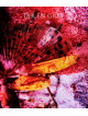 Dir En Grey - From Depression To________ [Mode Of 16-17] [Edizione: Giappone]