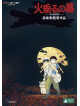 Studio Ghibli - Hotaru No Haka (2 Dvd) [Edizione: Giappone]