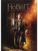 The Hobbit 2 : La Desolation De Smaug [Edizione: Francia]