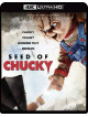 Seed Of Chucky (Collector's Edition) [Edizione: Canada]