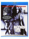 Maximum Risk