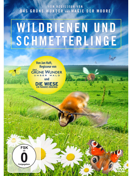 Wildbienen Und Schmetterlinge [Edizione: Germania]