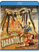 Tarantola