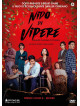 Nido Di Vipere