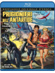 Prigionieri Dell'Antartide
