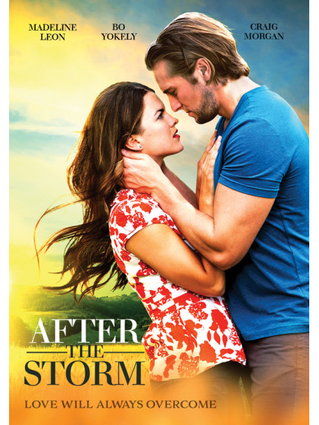 After The Storm [Edizione: Stati Uniti]