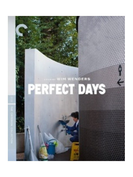 Perfect Days [Edizione: Stati Uniti]