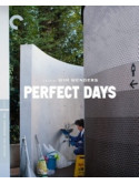 Perfect Days [Edizione: Stati Uniti]