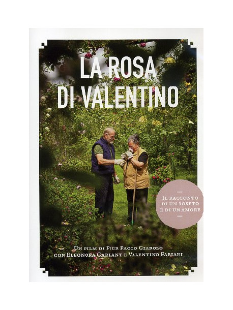 Rosa Di Valentino (La)