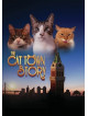 Cat Town Story [Edizione: Stati Uniti]