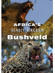 Africa's Deadly Kingdom: Bushveld [Edizione: Stati Uniti]