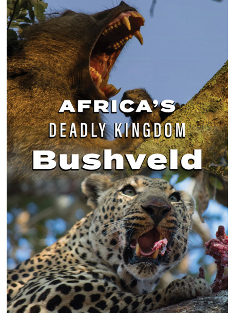 Africa's Deadly Kingdom: Bushveld [Edizione: Stati Uniti]