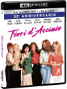 Fiori D'Acciaio (4K Ultra Hd+Blu-Ray Hd)