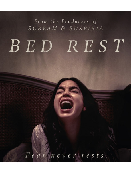 Bed Rest [Edizione: Paesi Bassi]