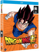 Dragon Ball Super Part 6 (Episodes 66-78) (2 Dvd) [Edizione: Regno Unito]