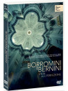 Borromini E Bernini - Sfida Alla Perfezione