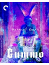 Criterion Collection - Gummo [Edizione: Stati Uniti]